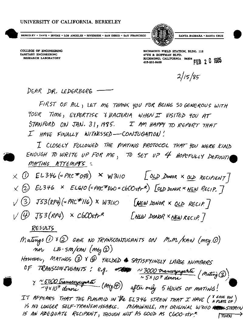 Kornstein 6-5-89 p1